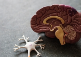 Alcohol withdrawal kindling effect medical detox clinician supporting patient