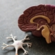 Alcohol withdrawal kindling effect medical detox clinician supporting patient