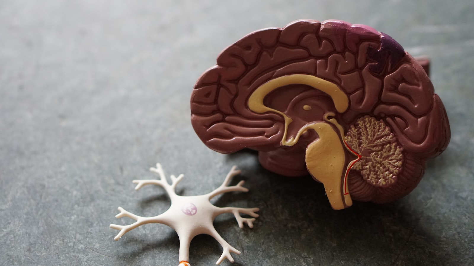 Alcohol withdrawal kindling effect medical detox clinician supporting patient