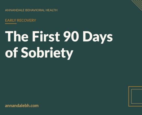 Branded blog hero: The First 90 Days of Sobriety — Annandale Behavioral Health