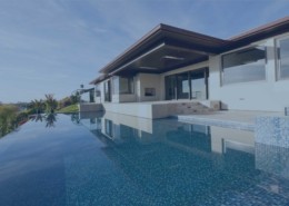 Home Splash