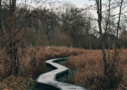 A quiet outdoor path in morning light