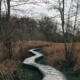 A quiet outdoor path in morning light