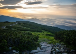 Sunrise over a mountain path, symbolizing hope and a new beginning in recovery from opioid use disorder