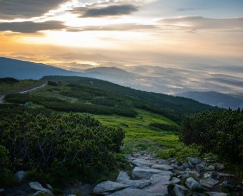Sunrise over a mountain path, symbolizing hope and a new beginning in recovery from opioid use disorder
