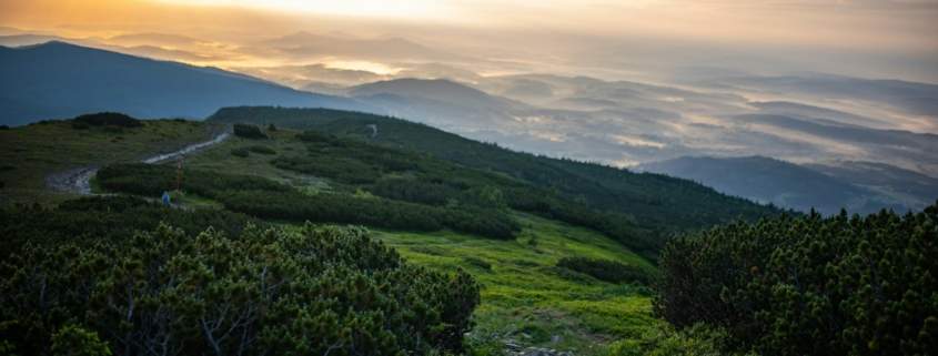 Sunrise over a mountain path, symbolizing hope and a new beginning in recovery from opioid use disorder