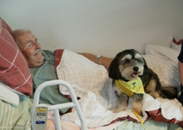 A clinician and client in conversation