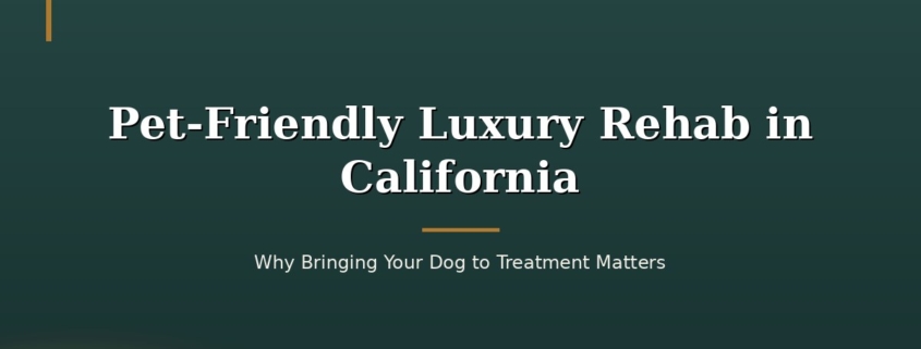 Pet-Friendly Luxury Rehab in California: Why Bringing Your Dog to Treatment Matters