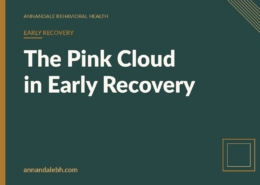 Branded blog hero: The Pink Cloud in Early Recovery — Annandale Behavioral Health