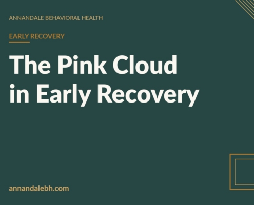 Branded blog hero: The Pink Cloud in Early Recovery — Annandale Behavioral Health