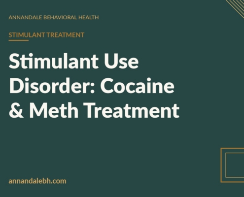 Branded blog hero: Stimulant Use Disorder: Cocaine & Meth Treatment — Annandale Behavioral Health