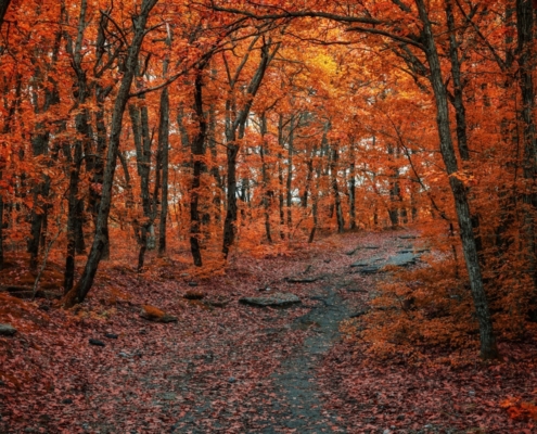 Stimulant use disorder treatment cocaine meth guide from Annandale Behavioral Health
