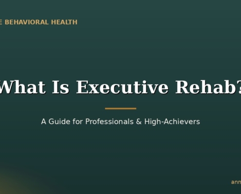 What Is Executive Rehab? A Guide for Professionals and High-Achievers